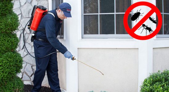 Kumru Gümüşkurt İlaçlama böcek ilaçlama ve haşere kontrolü — ilaclama-tr.com